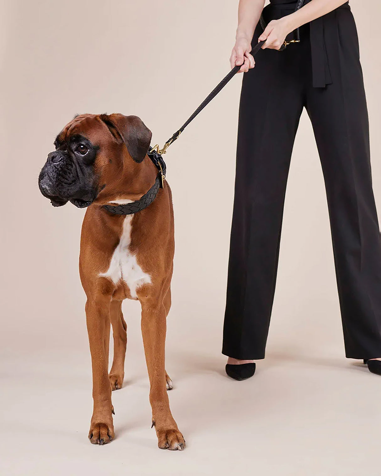 Prestige Leather Dog Leash | רצועת עור נאפה ארוכה ומתכווננת לכלב