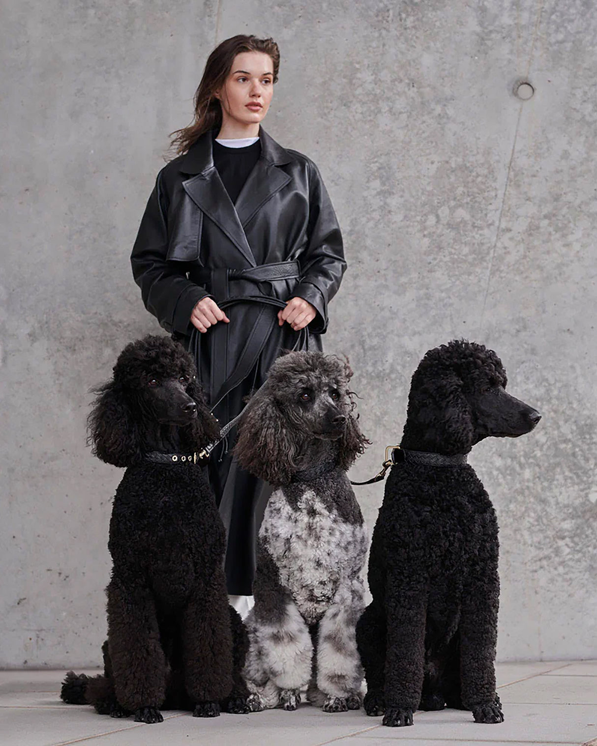 Prestige Leather Dog Leash | רצועת עור נאפה ארוכה ומתכווננת לכלב