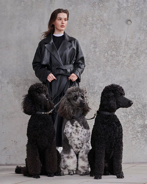 Prestige Leather Dog Leash | רצועת עור נאפה ארוכה ומתכווננת לכלב