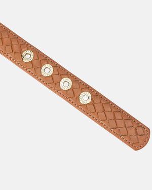 Prestige Leather Dog Collar | קולר עור נאפה קלוע לכלב