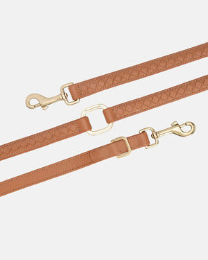 Prestige Leather Dog Leash | רצועת עור נאפה ארוכה ומתכווננת לכלב