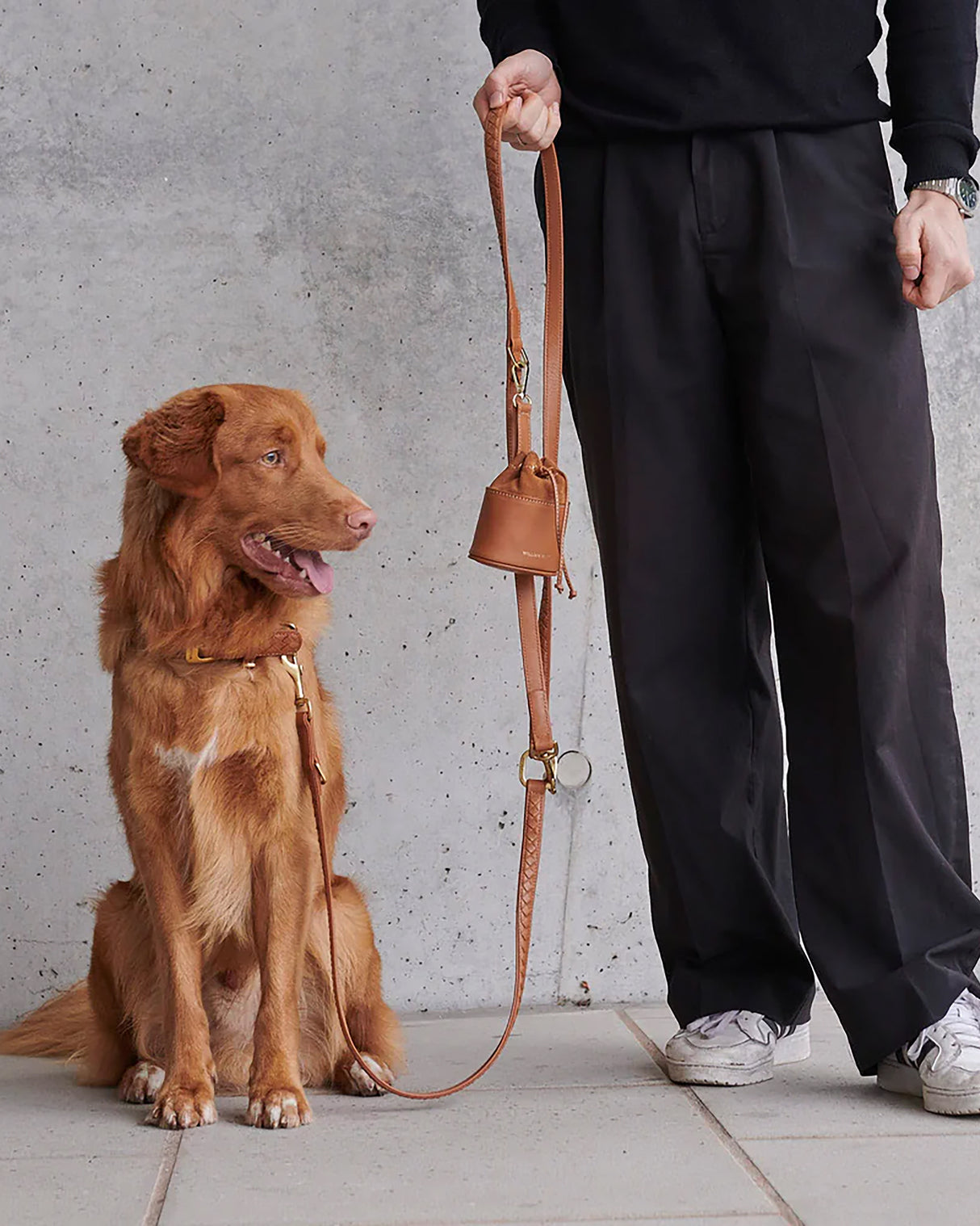 Prestige Leather Dog Leash | רצועת עור נאפה ארוכה ומתכווננת לכלב