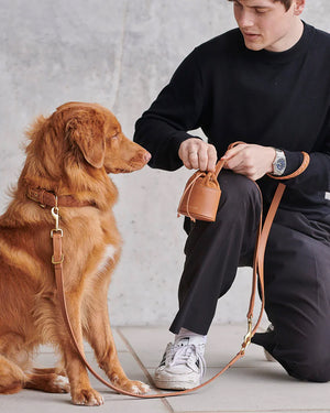 Prestige Leather Dog Leash | רצועת עור נאפה ארוכה ומתכווננת לכלב