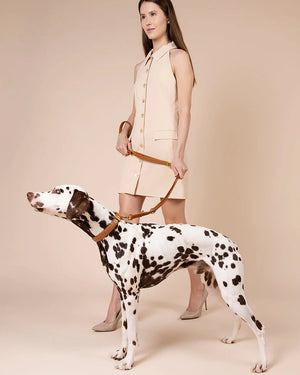 Prestige Leather Dog Leash | רצועת עור נאפה ארוכה ומתכווננת לכלב