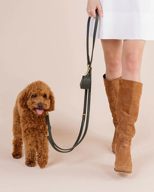 Prestige Leather Dog Leash | רצועת עור נאפה ארוכה ומתכווננת לכלב