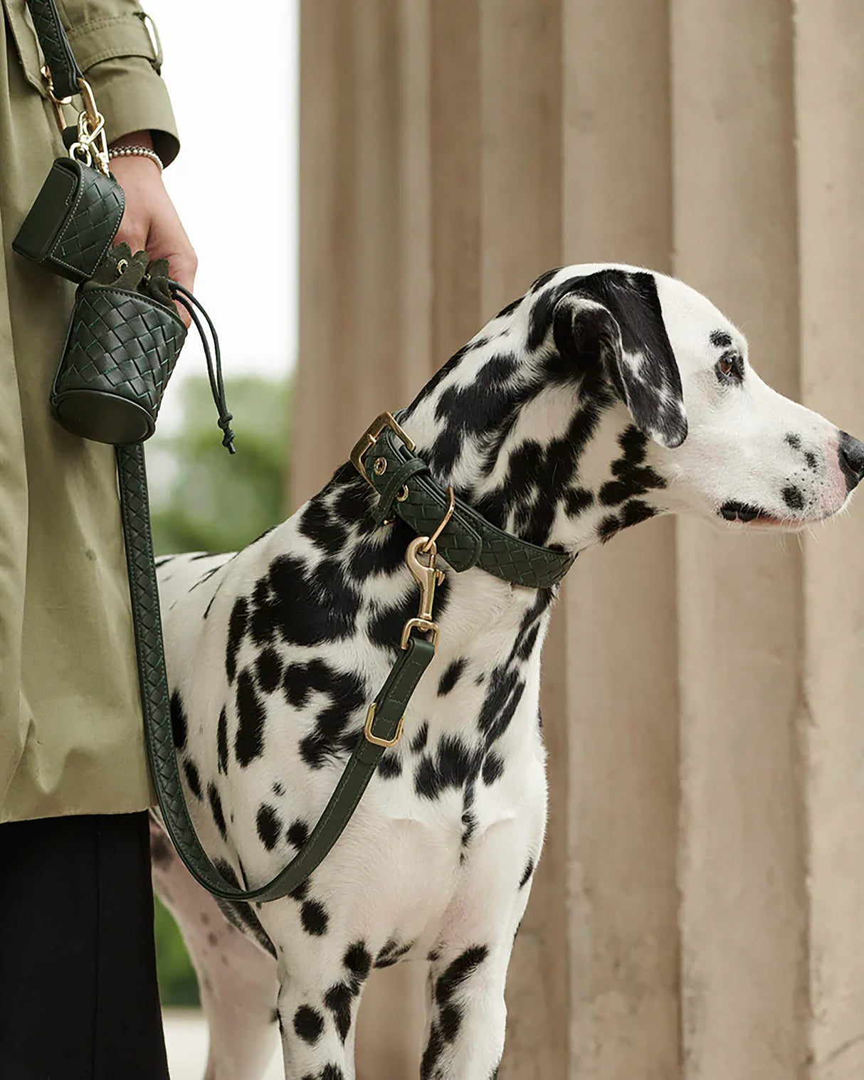 Prestige Leather Poo Treat Bag | נרתיק חטיפים מעור לכלב