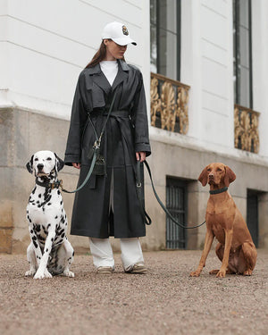 Prestige Leather Poo Treat Bag | נרתיק חטיפים מעור לכלב