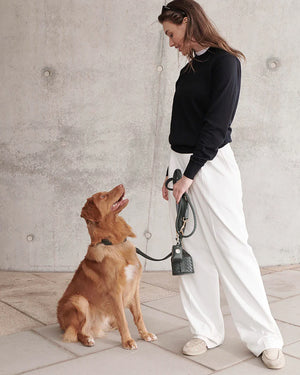 Prestige Leather Poo Treat Bag | נרתיק חטיפים מעור לכלב