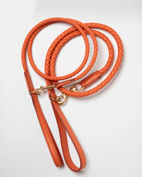 FERDINANDO LEATHER LEAD | רצועת עור לכלב