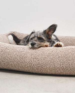 SENSO DOG BOX BED | מיטה אורתופדית לכלב