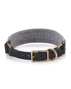 Siena Padded Leather Collar | קולר עור מרופד לכלב