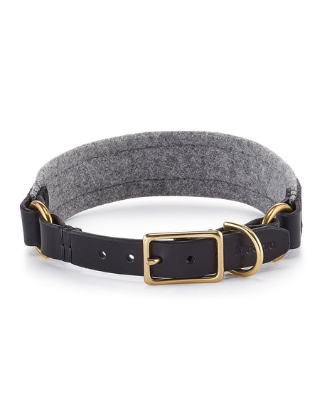 Siena Padded Leather Collar | קולר עור מרופד לכלב