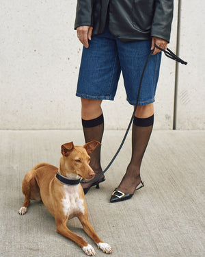 Rimini Dog Leather City-Leash | רצועת עור לכלב