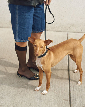 Rimini Dog Leather City-Leash | רצועת עור לכלב