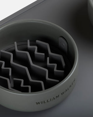 Slow Feeder Insert | משטח לאכילה איטית לכלב