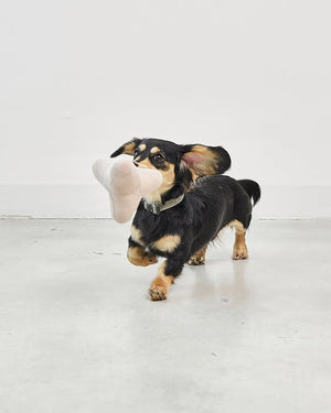 QUATTRO DOG TOY | צעצוע גאומטרי סרוג לכלב