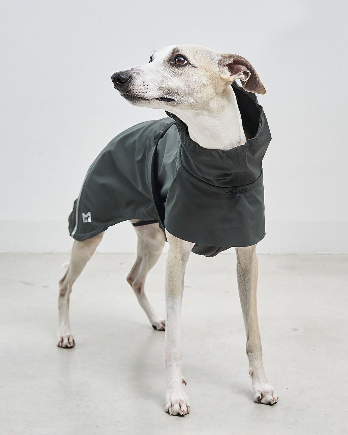 VALENTINA DOG RAINCOAT | מעיל גשם ורוח לכלב