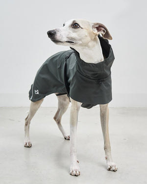 VALENTINA DOG RAINCOAT | מעיל גשם ורוח לכלב