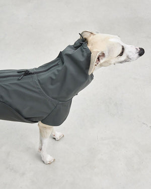 VALENTINA DOG RAINCOAT | מעיל גשם ורוח לכלב