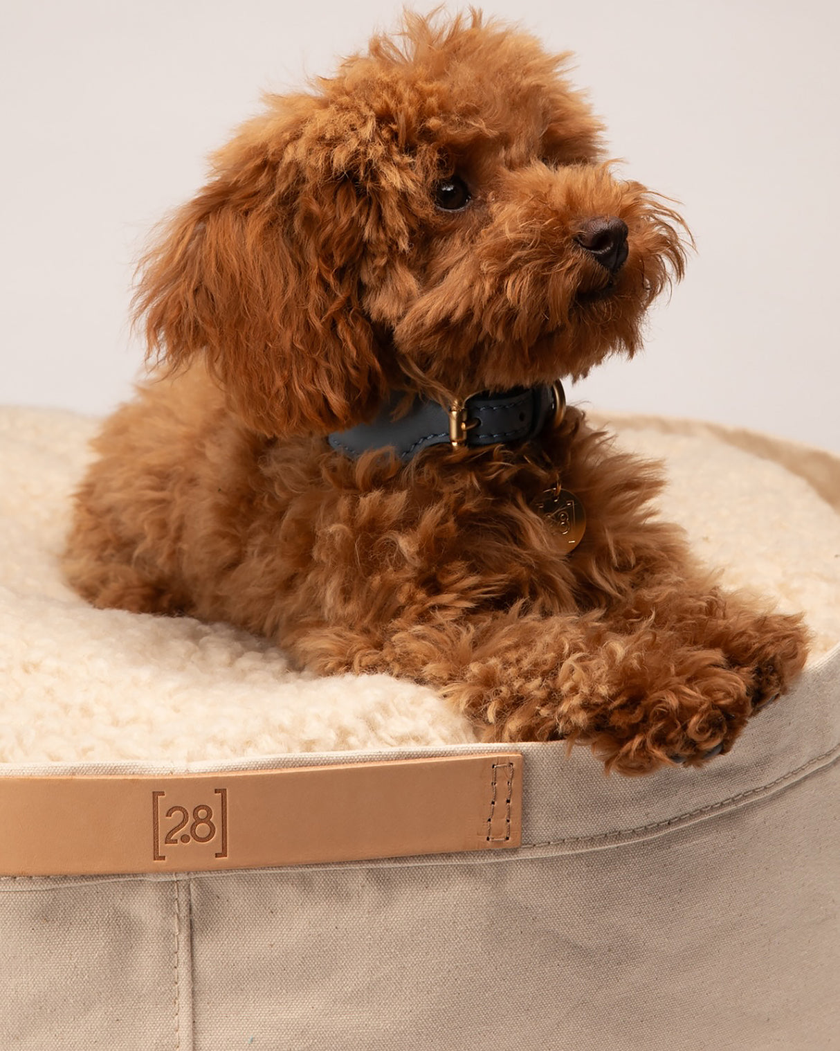 IRVING COTTON DRILL DOG & CAT BED | מיטה לכלבים ולחתולים