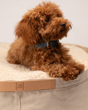 IRVING COTTON DRILL DOG & CAT BED | מיטה לכלבים ולחתולים
