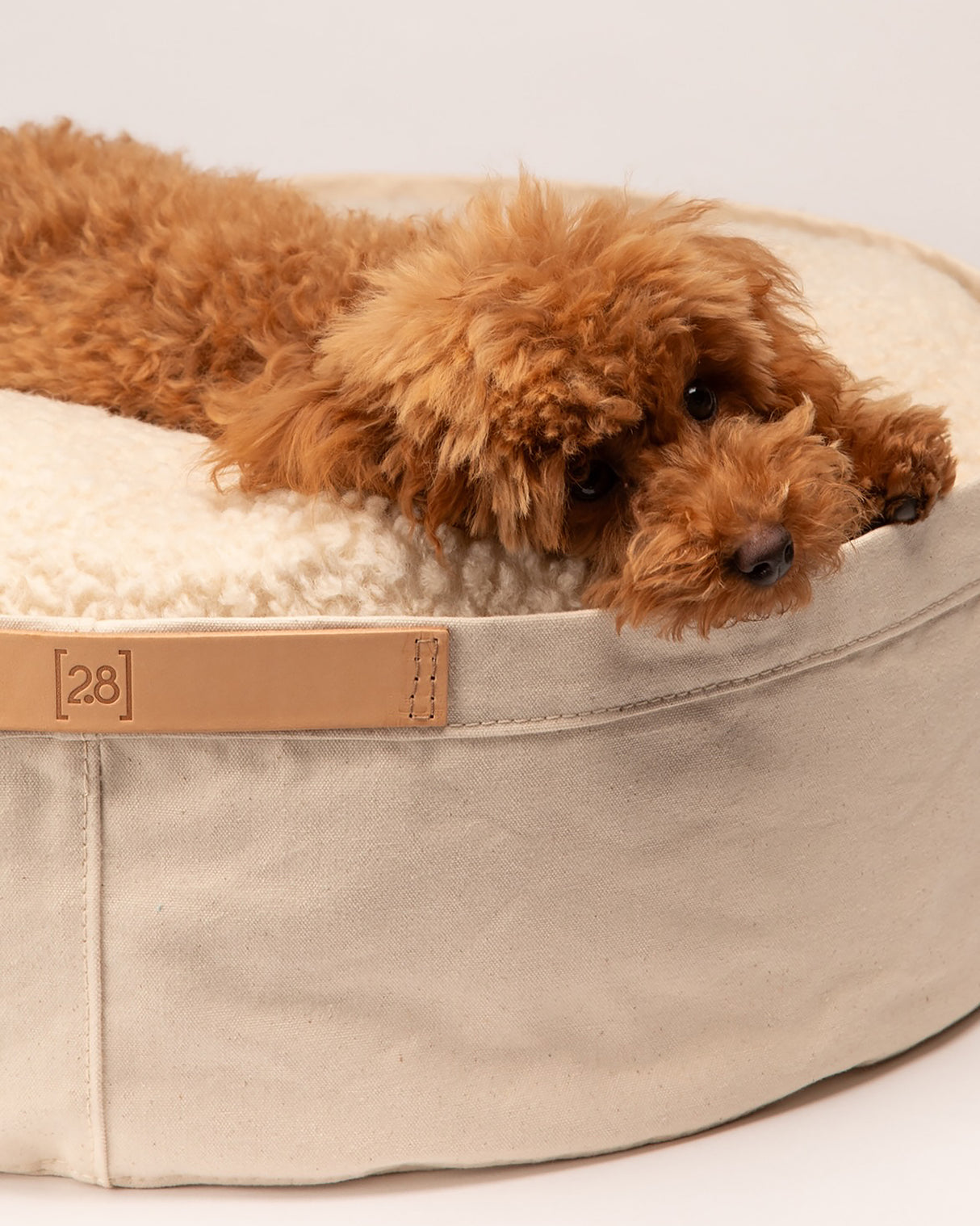 IRVING COTTON DRILL DOG & CAT BED | מיטה לכלבים ולחתולים