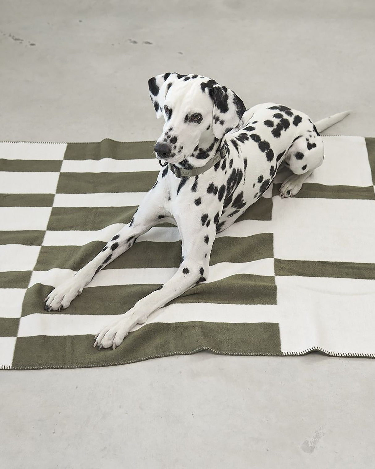 BLOCCO DOG COTTON BLANKET | שמיכה לכלב