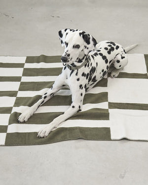 BLOCCO DOG COTTON BLANKET | שמיכה לכלב