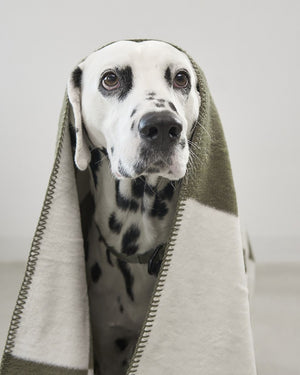 BLOCCO DOG COTTON BLANKET | שמיכה לכלב