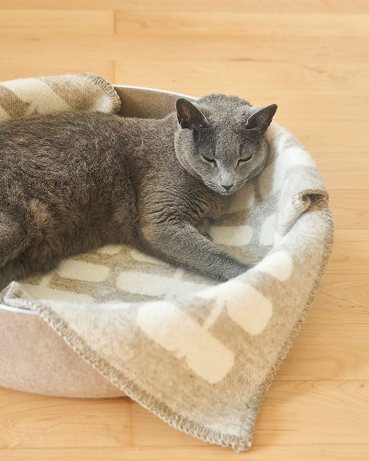 FLORA CAT WOOL BLANKET | שמיכה לחתול