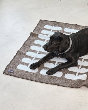 FLORA DOG WOOL BLANKET | שמיכה לכלב