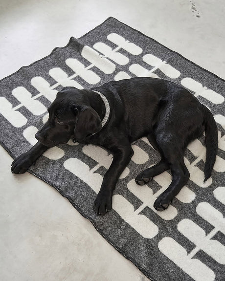 שמיכה לכלב מצמר מלא | FLORA DOG WOOL BLANKET