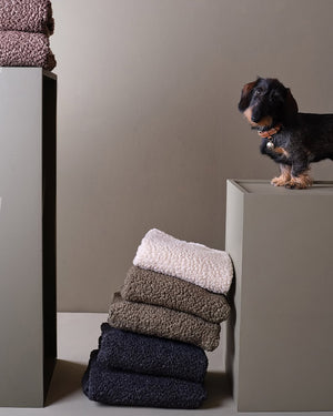 REPLACEMENT BOUCLÉ WOOL COVER FOR FULVIO BED | ריפוד להחלפה למיטה לכלב