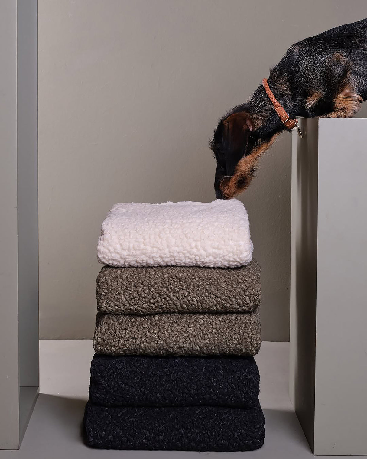 REPLACEMENT BOUCLÉ WOOL COVER FOR FULVIO BED | ריפוד להחלפה למיטה לכלב