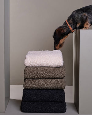 REPLACEMENT BOUCLÉ WOOL COVER FOR FULVIO BED | ריפוד להחלפה למיטה לכלב