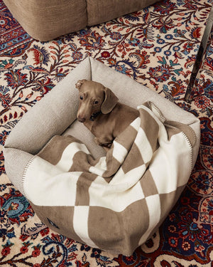 BLOCCO DOG COTTON BLANKET | שמיכה לכלב