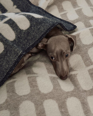 FLORA DOG WOOL BLANKET | שמיכה לכלב