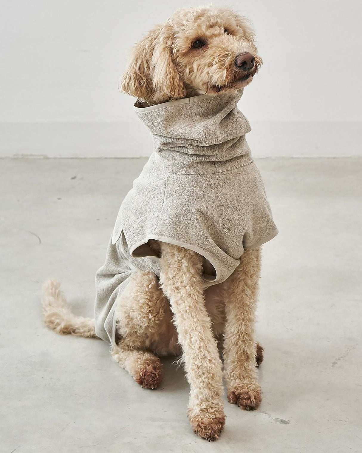 חלוק רחצה לכלב מכותנה אורגנית | BAGNO DOG BATHROBE