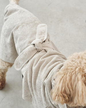 חלוק רחצה לכלב מכותנה אורגנית | BAGNO DOG BATHROBE