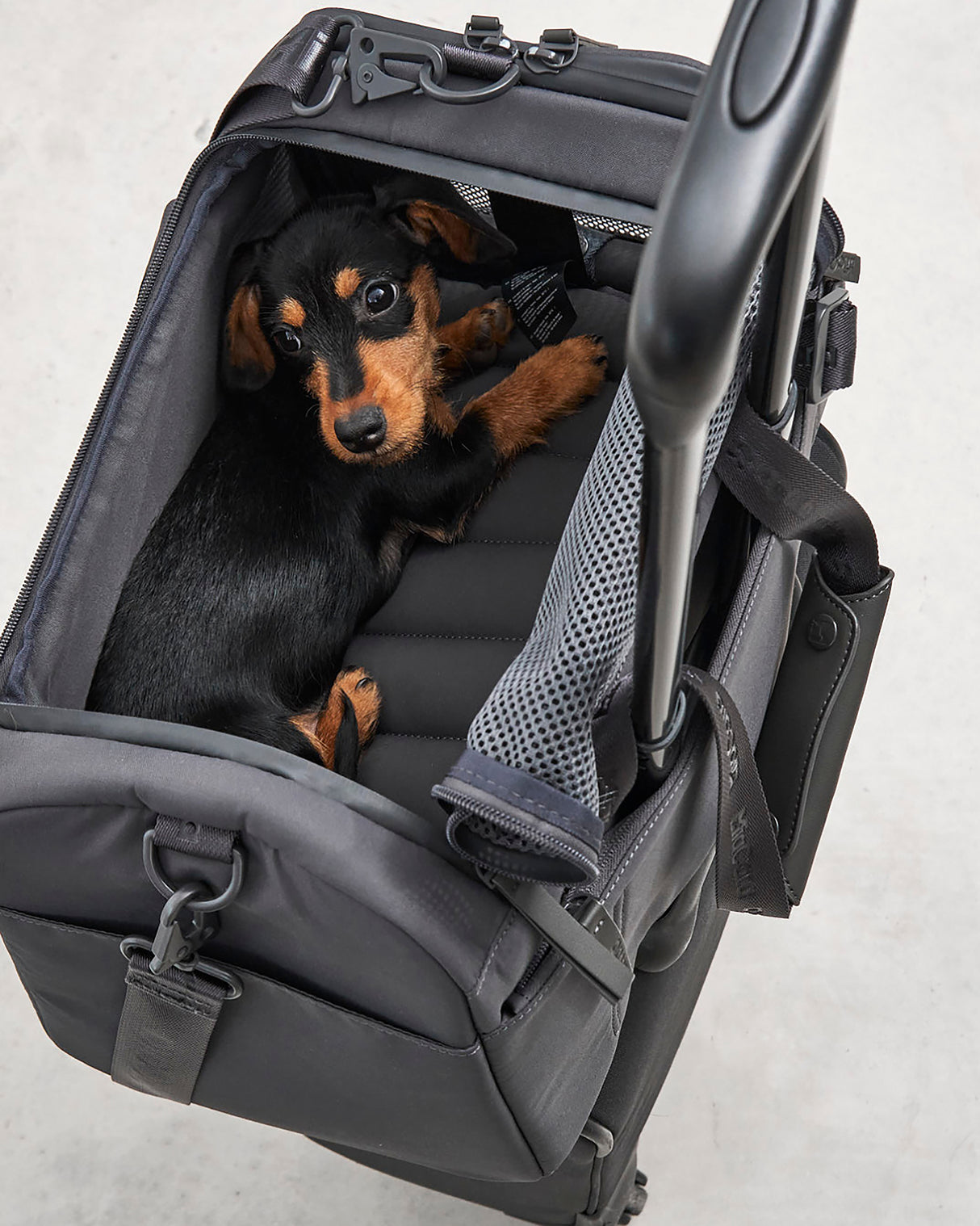 תיק נסיעות לכלב ולחתול (מתאים לטיסה) | VOLATA PET CARRIER BAG