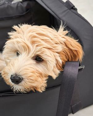 תיק נסיעות לכלב ולחתול (מתאים לטיסה) | VOLATA PET CARRIER BAG