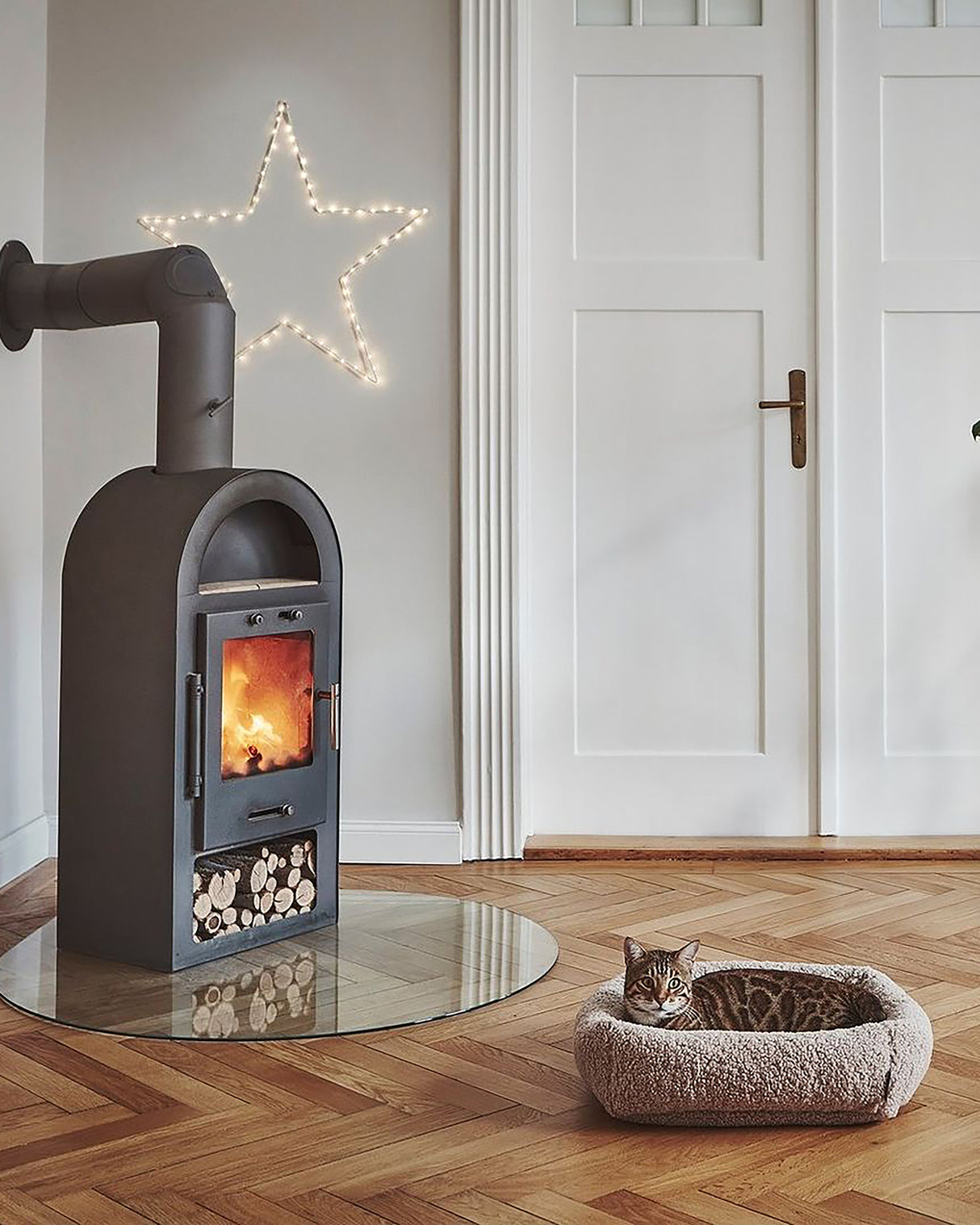 מיטת חתול סנסו | מיטה לחתול