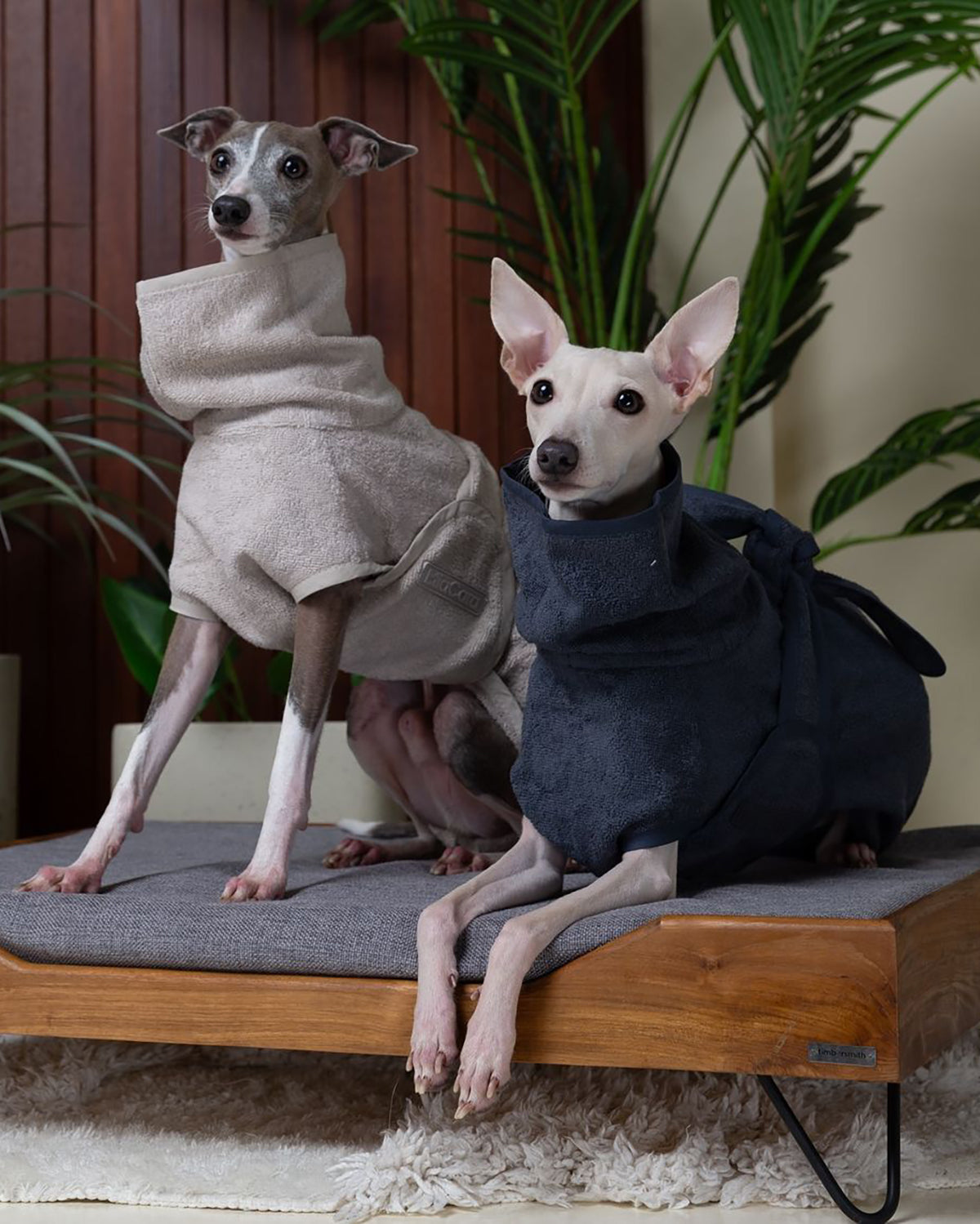 BAGNO DOG BATHROBE | חלוק רחצה לכלב