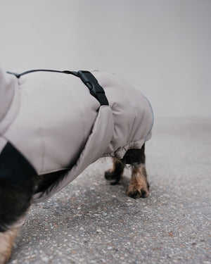 COSIMA DOG COAT | מעיל חורף לכלב