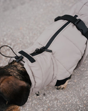 COSIMA DOG COAT | מעיל חורף לכלב