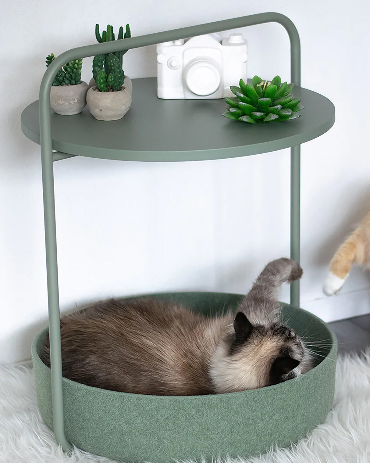 TAVOLINO CAT BED | שולחן קפה / מיטה לחתול