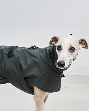 VALENTINA DOG RAINCOAT | מעיל גשם ורוח לכלב