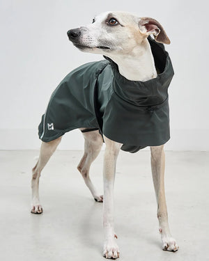 VALENTINA DOG RAINCOAT | מעיל גשם ורוח לכלב