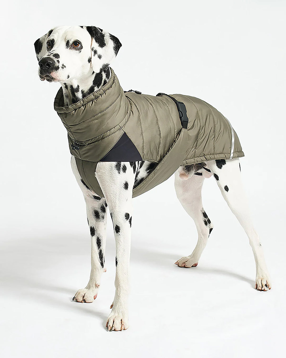 COSIMA DOG COAT | מעיל חורף לכלב