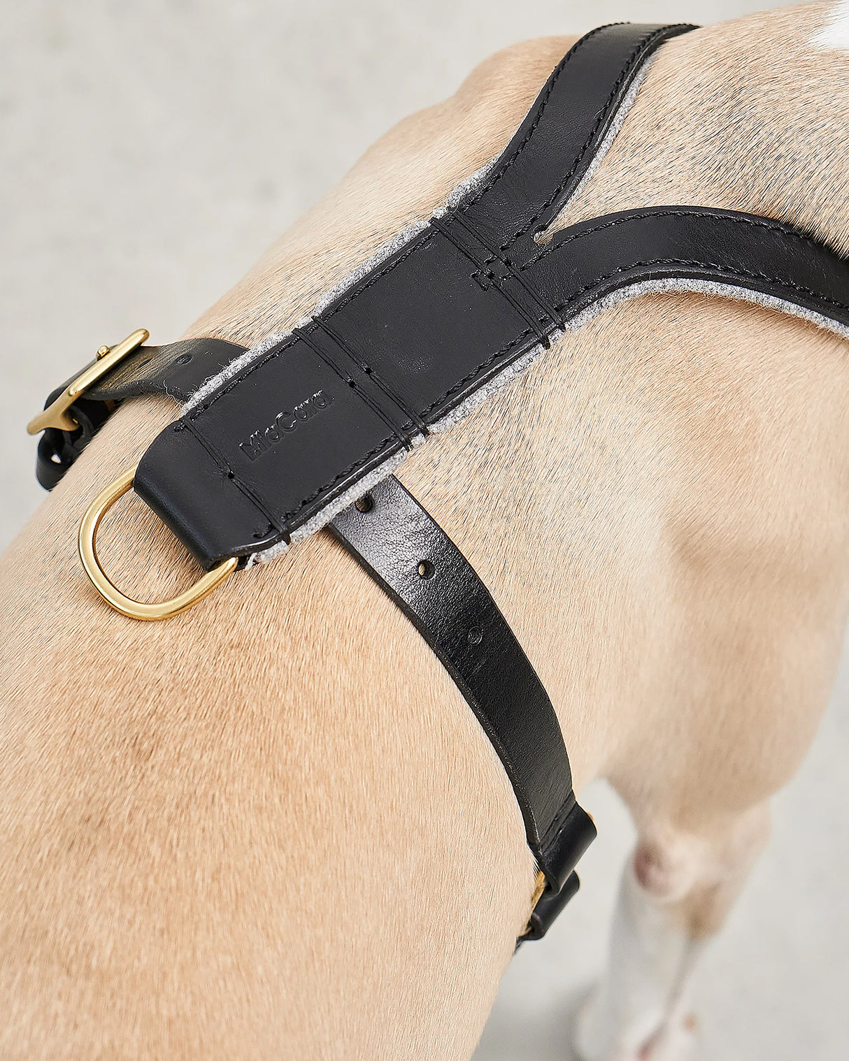 VERONA LEATHER DOG HARNESS | רתמת עור לכלב